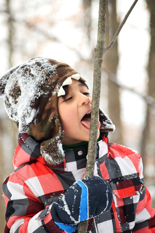 Hillorama - image of kid licking a frozen branch. Schools section of Hillorama caters to schools and gives 15-25% of profits back to the schools.