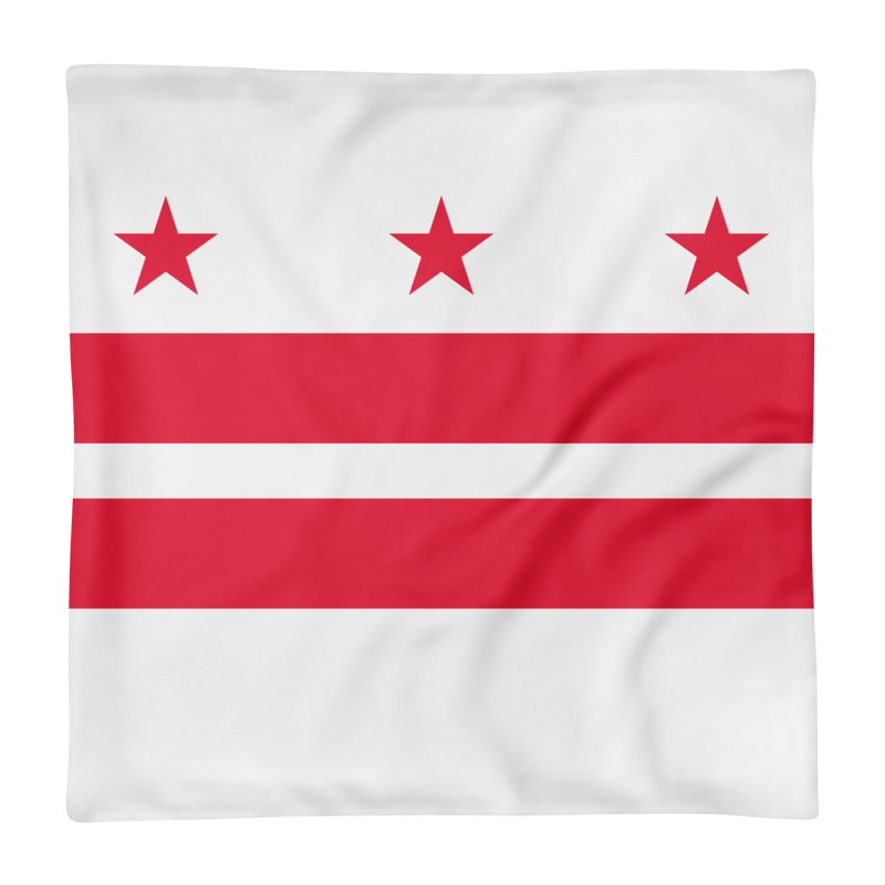 Square Pillow Case only - DC Flag